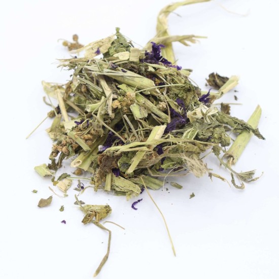 Plante de mauve Herbimals grossière