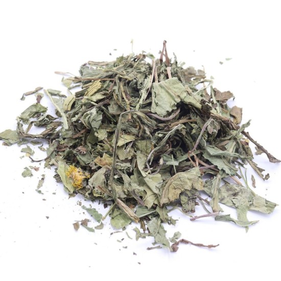 Feuille de pissenlit Herbimals grossière