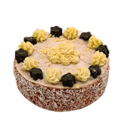 Hondentraiteur Taart Rund Medium 250 g, Creamy