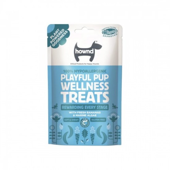 Hownd Wellness traite un chiot ludique