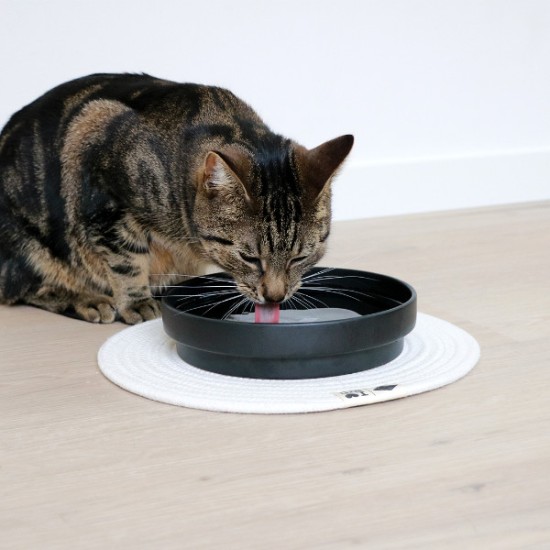 I Love Happy Cats Ace Abreuvoir Noir, L