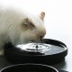 I Love Happy Cats Ace Abreuvoir Noir, L