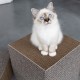 I Love Happy Cats Freya Cardboard Scratcher, Large
