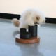 I Love Happy Cats Iggy Enrichment Bowl 3 niveaux