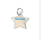 Kittyrama Safety Cat Tag Reflective Star