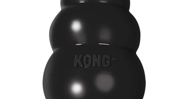 Kong Extreme Cool4pets health food store for animals