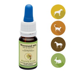 Krachtig Kruid Weerstand Mix