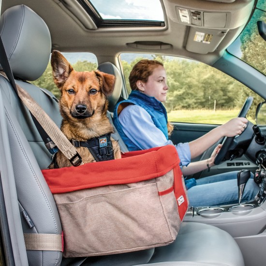 Siège d'auto Kurgo pour chien
