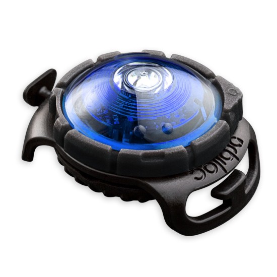 Orbiloc Dog Dual Light, blauw