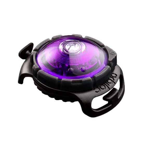 Orbiloc Dog Dual Light, paars