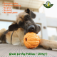 Pet-Fun Pomelo Bouncy Ball, Small/Medium