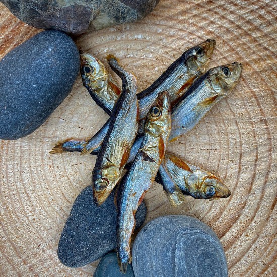 Petbit Dried Sprat (sprotjes)
