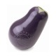 Aubergine Planet Dog