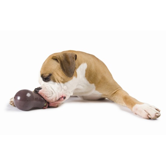 Aubergine Planet Dog