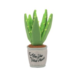 P.L.A.Y. Blooming Buddies Aloe-ve You Plant