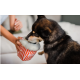 JOUER Du Popcorn Cinéma Hollywoof