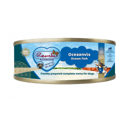 Renske Hond Blik Oceaanvis