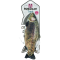 Robocat Forel
