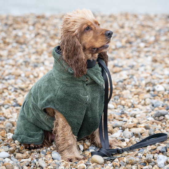 RukkaPets Medea Eco Peignoir Olive, Taille XS
