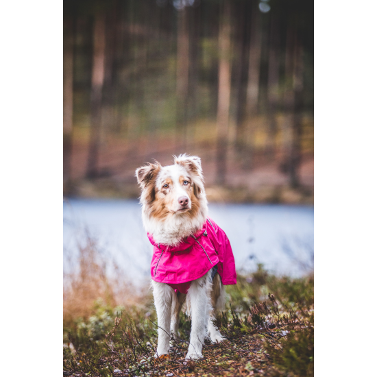 RukkaPets Hase imperméable rose, taille 25