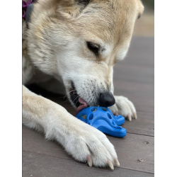 Sodapup Starfish Nylon Chew Toy