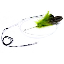 Tabby Tijger Kattenhengel met Vogel