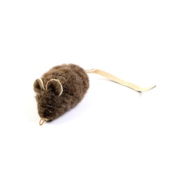 Tabby Tiger Buffalo Mouse