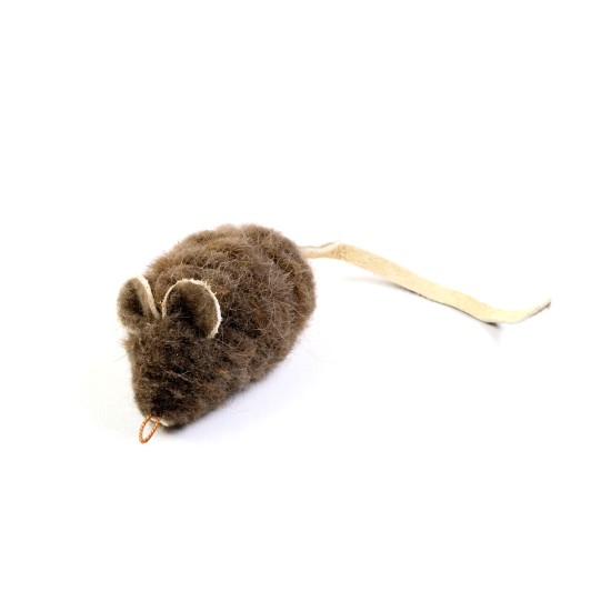 Souris Tigre Buffle Tabby
