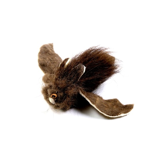 Chauve-souris tigrée tigrée