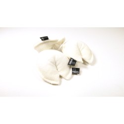 Tabby Tijger Fortune Cookie Box