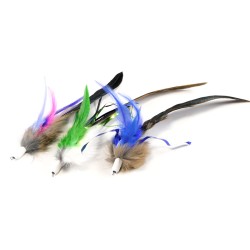 Tabby Tijger Furr & Feather