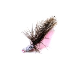 Crevettes géniales tigrées tigrées
