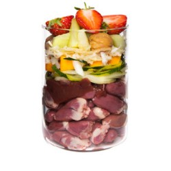 Terra Canis Graanvrij Menu Eend