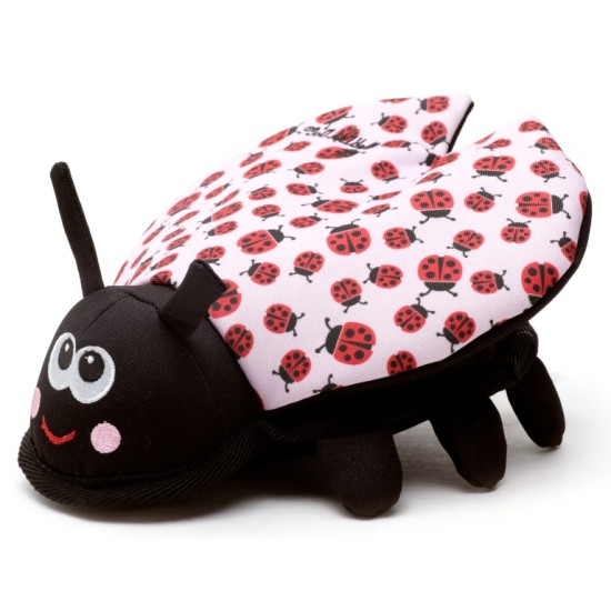 Le digne chien coccinelle, petit