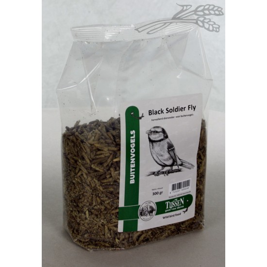 Larves de mouche soldat noire de Tijssen