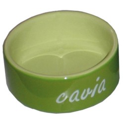 Guinea Pig Feeding Bowl Stone Green