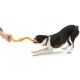 West Paw Zogoflex Bumi, petit, orange