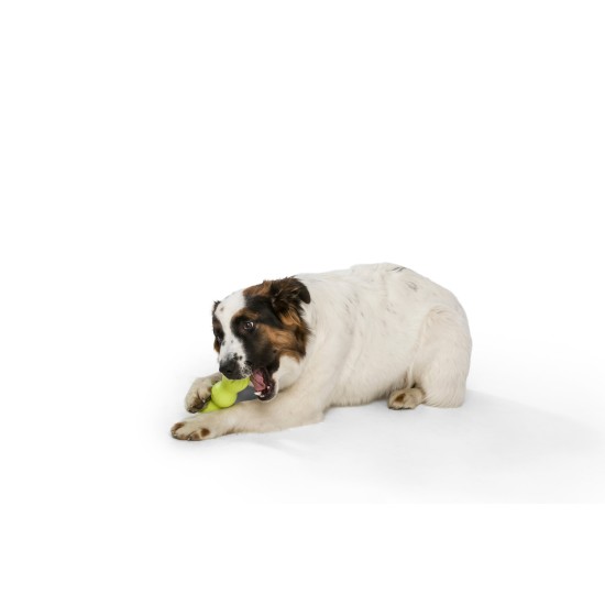 West Paw Zogoflex Rumpus, medium, groen