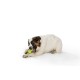 West Paw Zogoflex Rumpus, medium, groen
