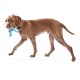 West Paw Zogoflex Tizzi, large, groen