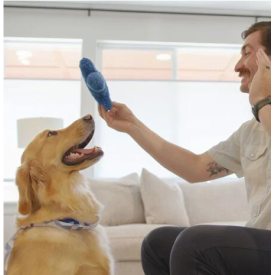 West Paw The Dog's Best Friend Game Engelstalig