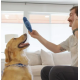 West Paw The Dog's Best Friend Game Engelstalig