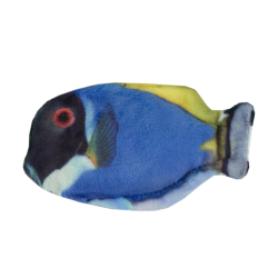 Wild Life Cat Blauwe Doktersvis