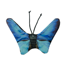 Wild Life Cat Blauwe Vlinder