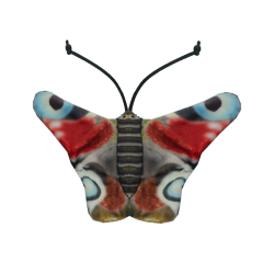 Wild Life Cat Dagpauwoog