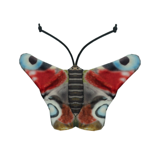 Wild Life Cat Peacock Butterfly