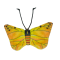 Wild Life Cat Gele Vlinder