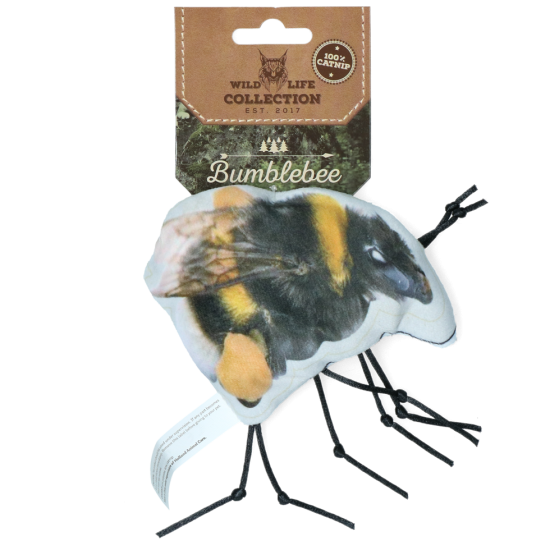 Bourdon de chat de la vie sauvage