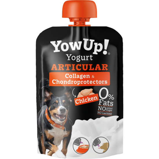 Chien articulaire au yaourt YowUp