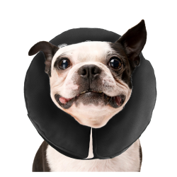 Zenpet ProCollar Opblaasbare kraag